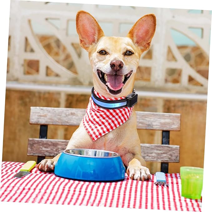 Garneck Stylish Pet Supplies Night Safety Led Dog Collar Solar Rechargeable for Dogs Puppies