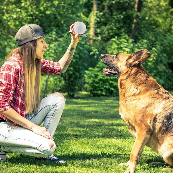 BESPORTBLE Dog Scent Work Tins: 10Pcs Dog Scent Training Box Dog Nose Work Containers, Smell Training Canisters Aluminum Tin Cans for Pet Dogs Training