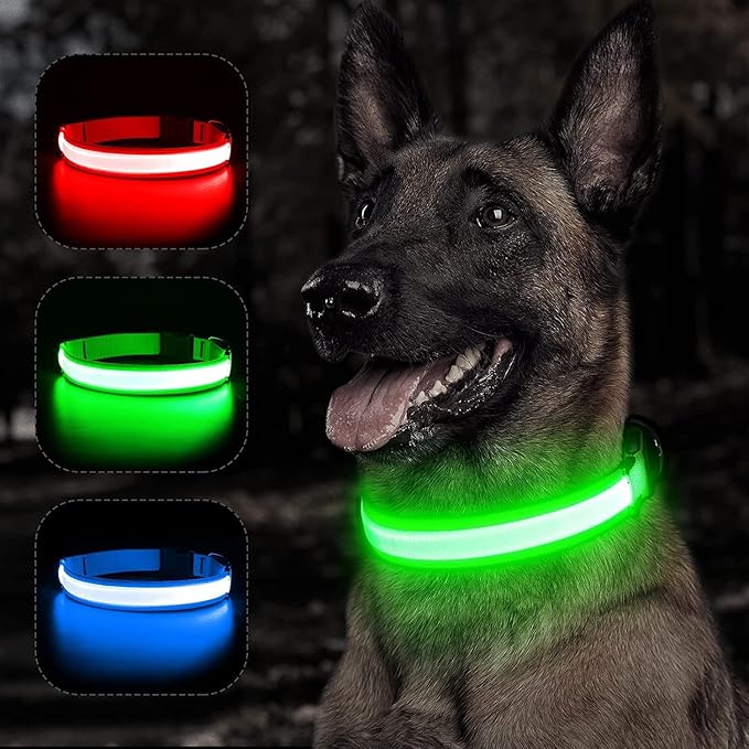 BSEEN Light Up Dog Collars - Rechargeable Puppy Collar, Adjustable Dog Glow Collar, Reflective Pet Collar, Glowing Dog Lights for Night Walking (Neon Green, Small)