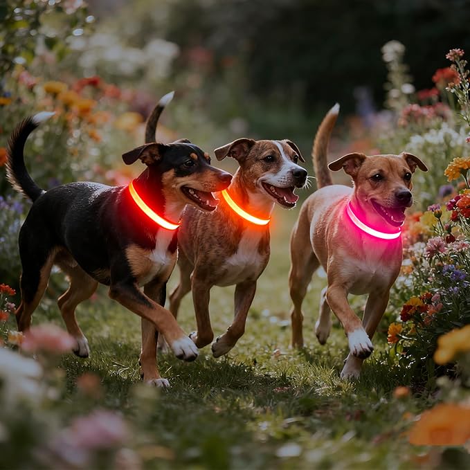 Vizpet LED Dog Collar, Light Up Dog Collar Adjustable USB Rechargeable Super Bright Safety Light Glowing Collars for Dogs (Large, Pink)
