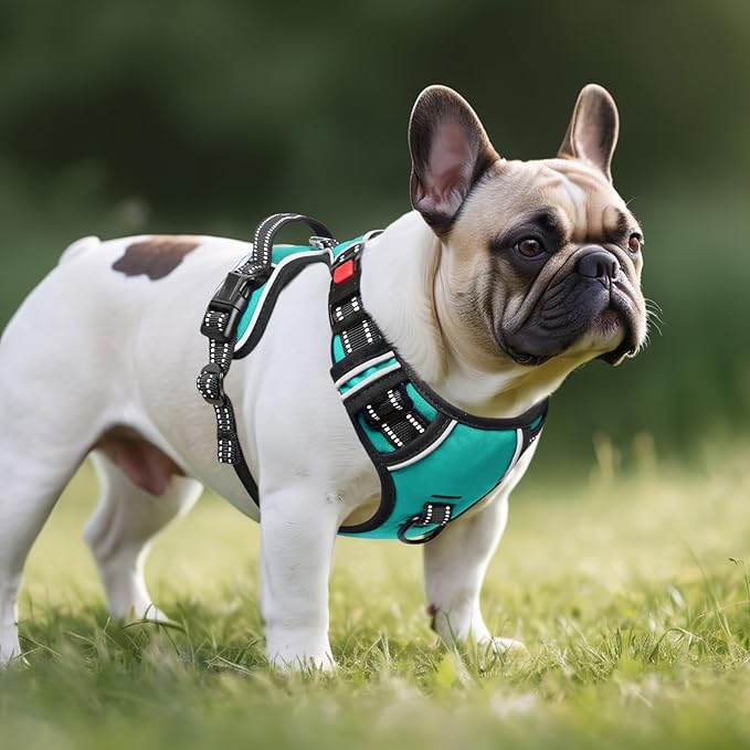 Timos No Pull Dog Harness, Release at Neck Reflective 3 Snap Buckles Adjustable No Choke Pet Vest with Front & Back 2 Leash Clips, Soft Padded Control Training Handle for Small Medium Large Dogs