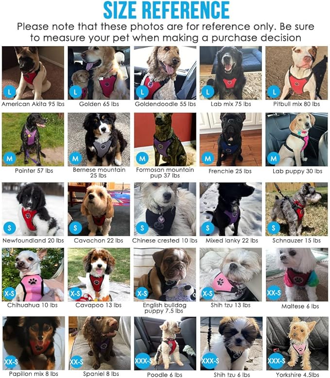 SlowTon Dog Seat Belt Harness for Car, Dog Car Harness Adjustable Mesh Breathable & Dog Seatbelt Safety Tether with Elastic Bungee for Small Medium Large Pets (Pink, Single Clip, XXS)