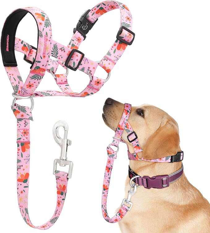Dog Head Collar, Printed No-Pull Headcollar, Adjustable Dog Head Halter Gentle Lead with Safety Link, 3 Colors Muzzle Leash for Small Medium Large X-Large Dogs Easy Walks (XLarge, Mimosa)