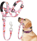 Dog Head Collar, Printed No-Pull Headcollar, Adjustable Dog Head Halter Gentle Lead with Safety Link, 3 Colors Muzzle Leash for Small Medium Large X-Large Dogs Easy Walks (Medium, Mimosa)