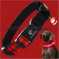 DOGWONG LED Dog Collar - Christmas Red Plaid Heavy Duty Light up Dog Collars - Rechargeable Waterproof - Lighted Dog Collars for Night Walking, Hiking, Camping(Red Plaid,M)