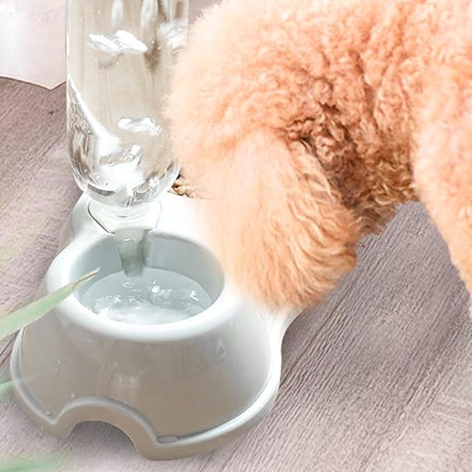 Double Dog Cat Bowl, Multipurpose Large Capacity Automatic Water Refill 2 in 1 Design Pet Feeder Water Dispenser Set, Gravity Feeder Cat Dry Food and Water Set for Indoor