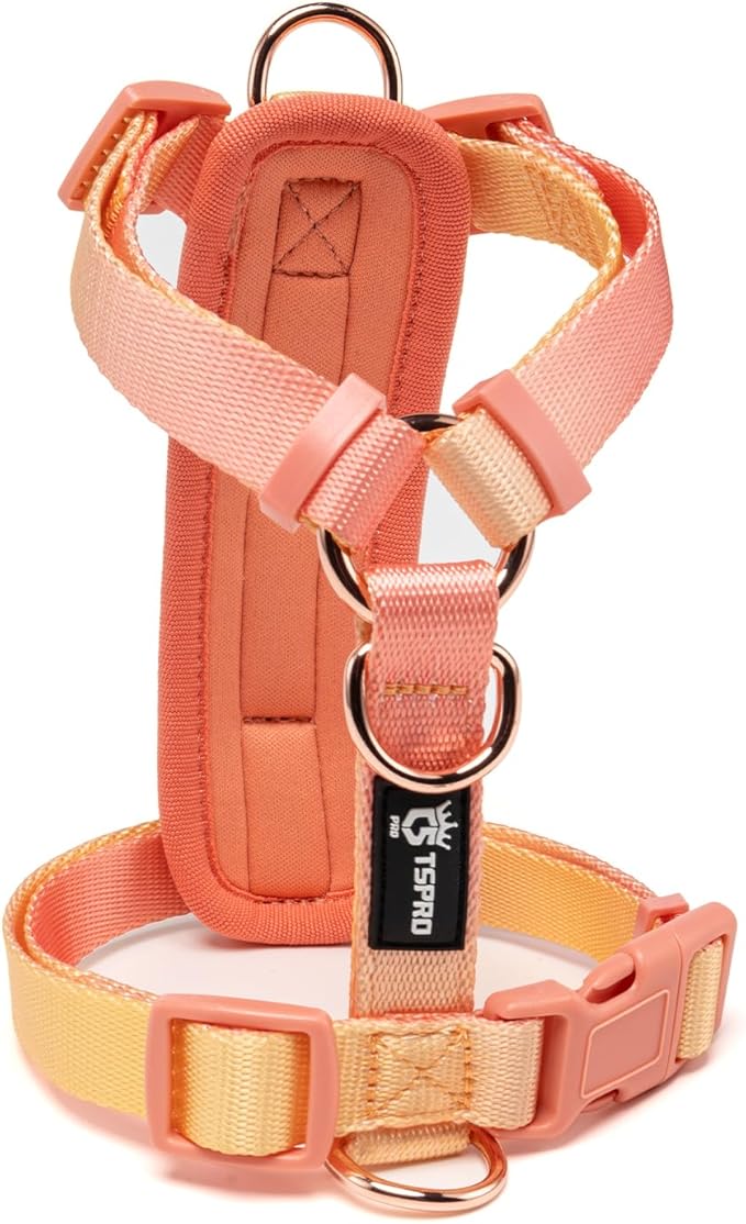 TSPRO Lightweight Dog Vest Harness Adjustable Harness Breathable Durable Quick Release Dog Harness for Medium Dog Walking (Orange-Yellow Gradient, Size 2)