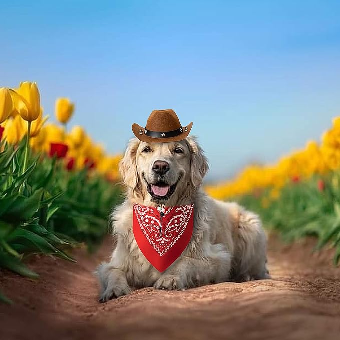 Dog Halloween Costumes, Dog Cowboy Costume Pet Cowboy Hat with Bandana Scarf Cowboy Costume for Small Medium Large Dogs (Small)