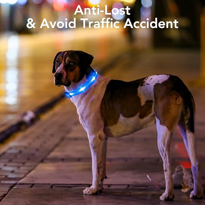 Weesiber Light Up Dog Collars - Rechargeable LED Collar - Reflective Adjustable Dog Lights for Night Walking (Blue, Medium)