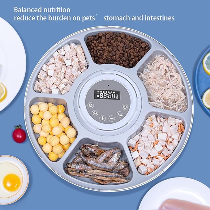 6 Meal Automatic Dog Cat Feeder, Dog Cat Wet & Dry Food Pet Feeder with Programmable Timer, Auto Dispenser for Small Cat Dog with Portion Control