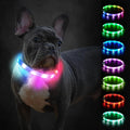 Joytale Light Up Dog Collar, Rainproof and Rechargeable LED, 9 Flashing Modes, Glow for Night Walking, Cuttable Soft Silicone Collar for Small and Medium Dogs, 17.7 Inch