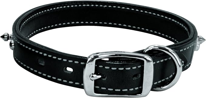 Weaver Pet Spike Collar