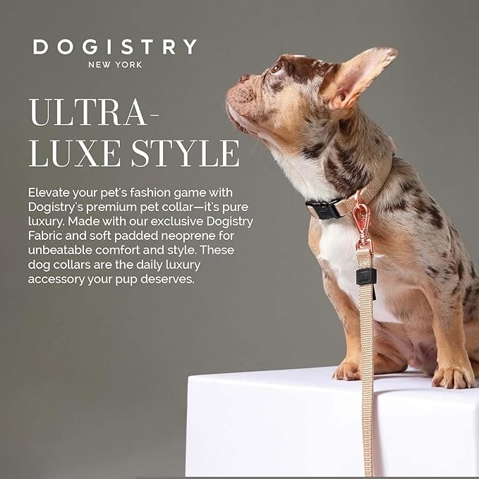 The DOGISTRY - City Collar - Dune - Premium Dog Collar with Padded Neoprene & Signature Fabric - Refined Design & Everyday Luxury - Small