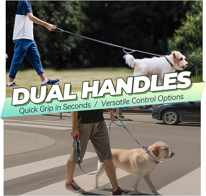 VIVAGLORY Twingrip Dog Leash, Double Handle Dog Leash for Training & Walking with Traffic Handle & 2 Loop, Traffic Control Reflective Heavy Duty for Puppy Pet, 5ft x 1in, Grey