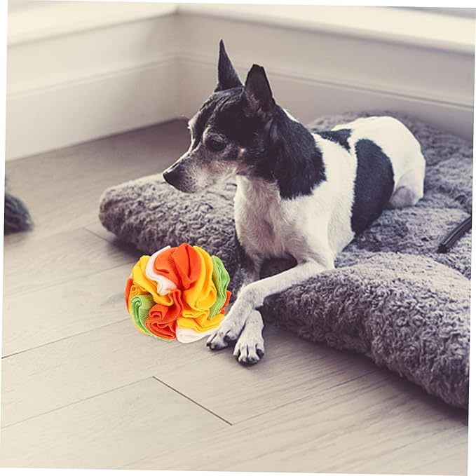 Garneck Upgraded Dog Sniffing Ball Interactive Training Toy for Dogs Slow Eating Ball Nose Work PET Toy for Puppies