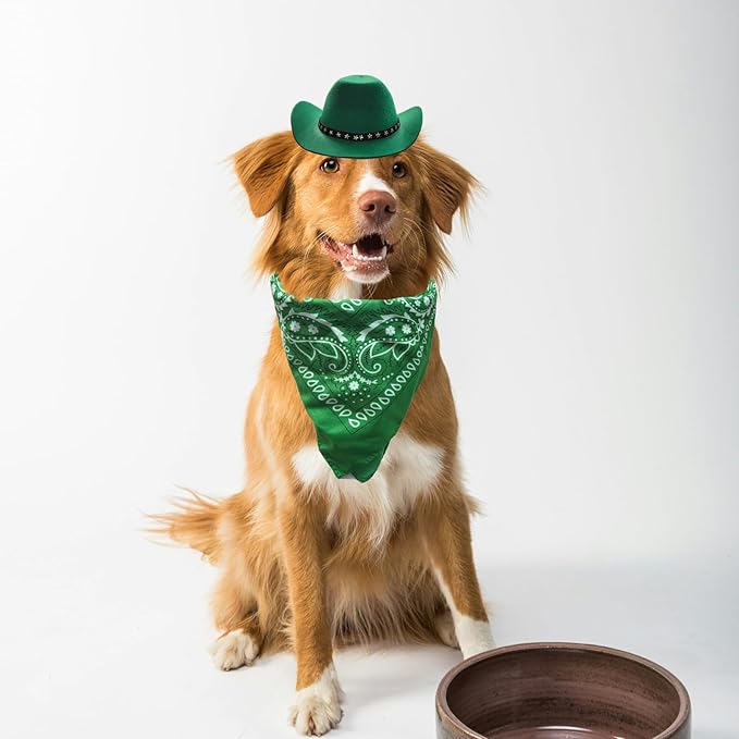 Dog Cowboy Hat and Bandana Scarf Dog Cat Sombrero Puppy Hat Dog Cat Costume Cosplay Cap Puppy Pet Dog Cat Holiday Pet Party Decoration (Green)