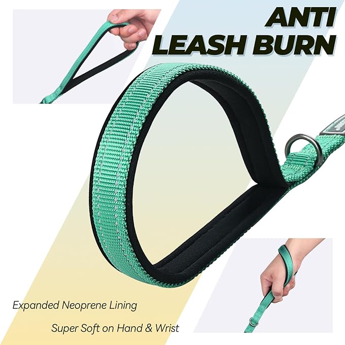 VIVAGLORY Twingrip Dog Leash, Double Handle Dog Leash for Training & Walking with Traffic Handle & 2 Loop, Traffic Control Reflective Heavy Duty for Puppy Pet, 5ft x 1/2in, Turquoise