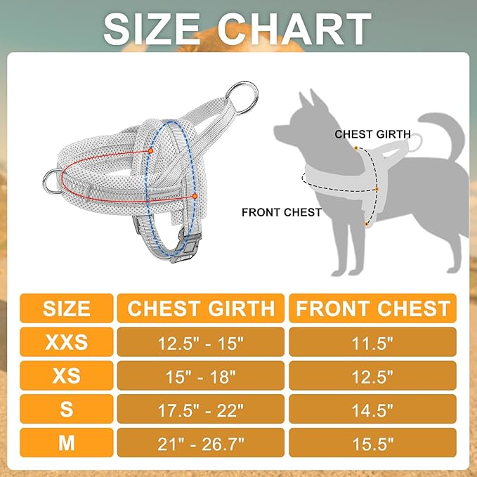 BEAUTYZOO Dog Harness for Small Dogs, No Pull Dog Harness and Leash Set, Escape Proof Puppy Vest Harness with Handle, Reflective Breathable Mesh Padded Harness for Girl Boy Dogs, Orange XXS