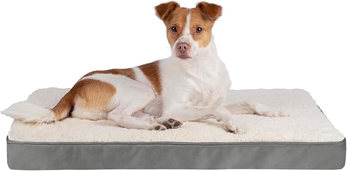 Best Pet Supplies Dog House Bed Crate Mat Tent Indoor Round Soft Plush for Small, Medium, and Large Breeds - Gray, 24 x 16 x 3