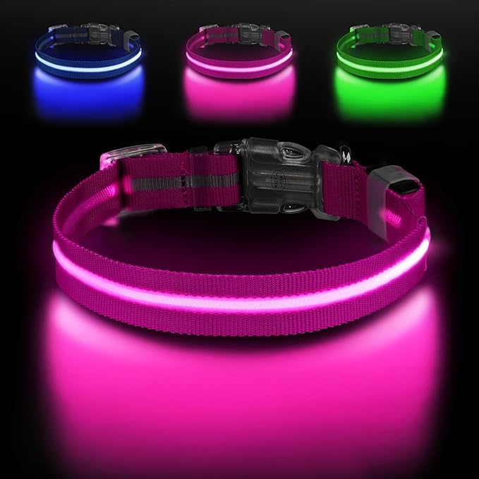 Cherry Red Small LED Dog Collar | Night Walks just got Safer | Ultra-Bright LED Collar | USB Rechargeable | Waterproof | Adjustable & Durable | 4 Light Modes | Keep Your Pup & Yourself Safe!