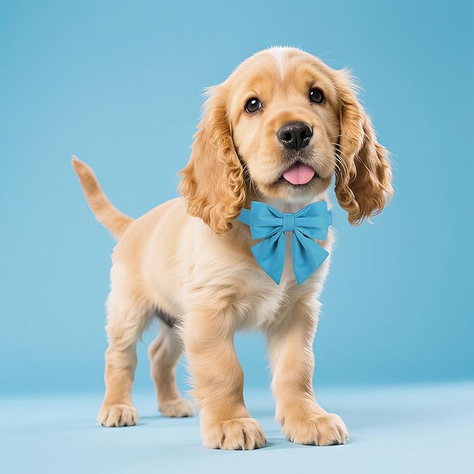 Maca Bates Sky Blue Dog Collar with Cute Solid Sailor Bow Tie for Small Girl Boy Dogs,Adjustbale Durable Breakaway Soft Collars with Bowtie for Female Male Puppy,Pet with Metal Buckle
