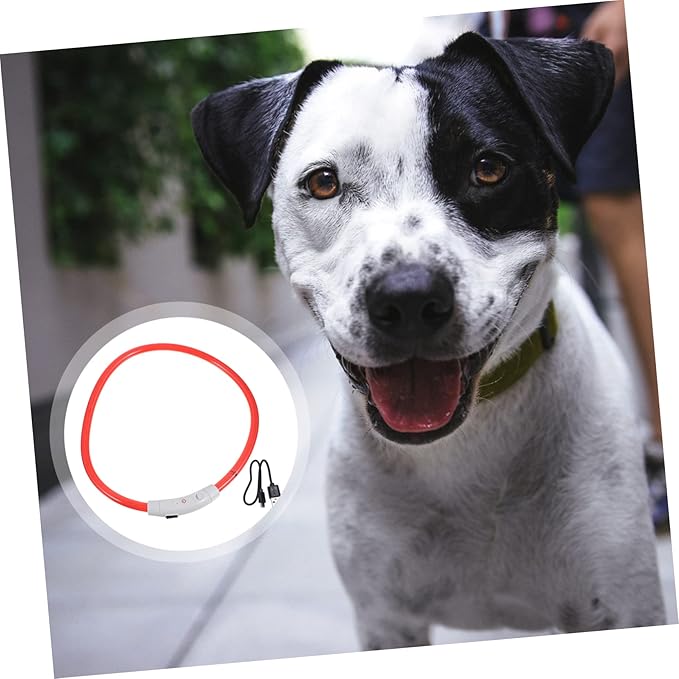Totority LED Dog Collar Rechargeable Glow Collar for Night Safety Stylish Pet Accessory for Parties and Outdoor Activities High Visibility