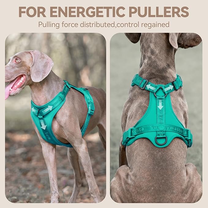 No Pull Dog Harness with Lycra, Three-Point Force Dispersion & 3D Padding, Adjustable Breathable Mesh for Small Medium Large Dogs(MARRS Green,M)