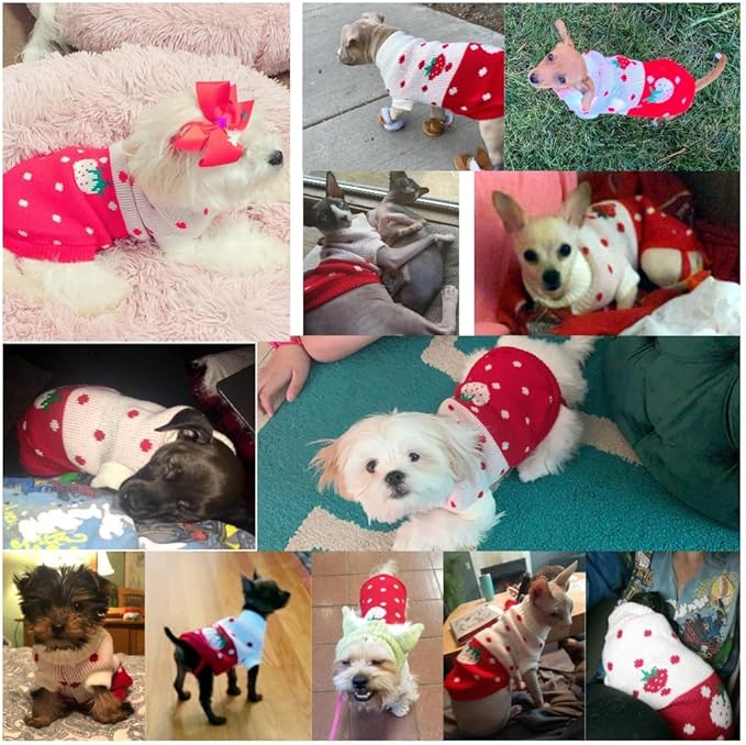 CHBORCHICEN Pet Dog Sweaters Classic Knitwear Turtleneck Winter Warm Puppy Clothing Cute Strawberry and Heart Doggie Sweater (Red1, XX-Small)