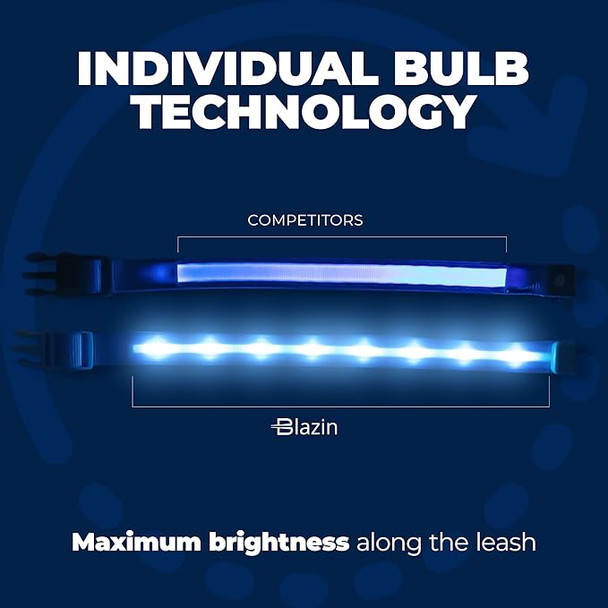 Blazin Light Up Dog Collar - The Original LED Dog Collar - USB Rechargeable - Waterproof - 1,000 Feet of Visibility - Dog Collar Light for Small, Medium, Large Dogs - USA Brand