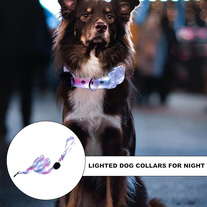 Light Up LED Dog Collar - Rechargeable Pet Necklace Accessory, Adjustable Luminous Collar,PVC Rubber Coated LED Dog Collarr Specification | Lighted Outdoor Protectionfor Small,Medium and Large Breeds