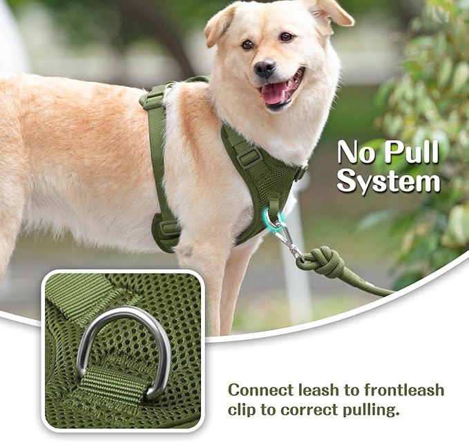 No Pull Dog Harness for Small Medium Large Dogs - Adjustable 2 Layer Mesh Dog Vest with Dual Clip, Escape Proof, Quick Release, Lightweight Breathable Mesh for Walking Hiking (Misty Green,S)
