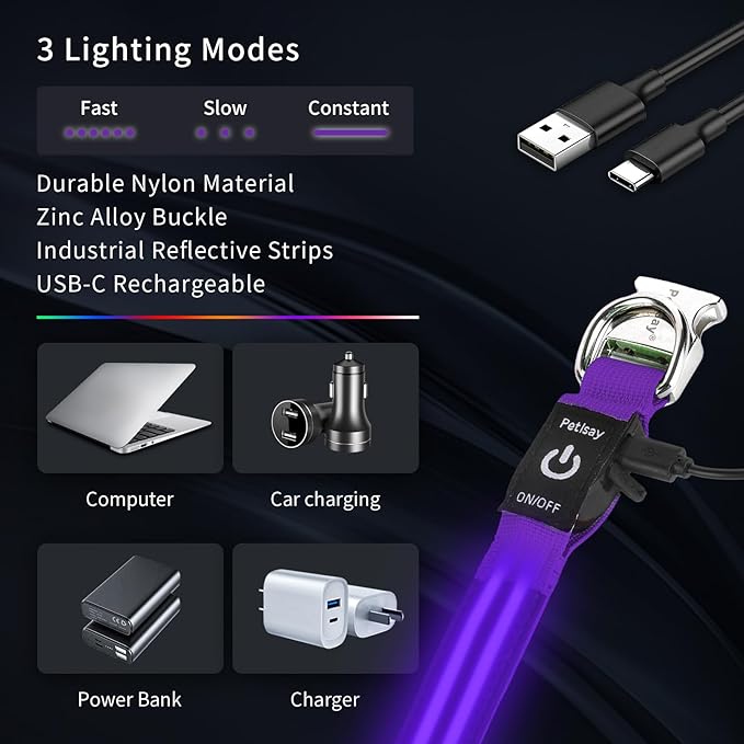 LED Dog Collar with Metal Buckle - USB Rechargeable Glow Collar for Dogs, Waterproof Light Up Dog Collar w/Reflective Strips - Adjustable Night Safety Collars by PetIsay(Purple,Large)
