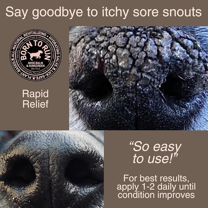 Born To Run Dog Nose Balm | Natural Snout Soother & Cold Wind Sun Protection | Moisturizes & Heals Dry Cracked Chapped Noses | Fragrance-Free Hyperkeratosis Relief Plant-Based Lick Safe Nose Cream 2oz