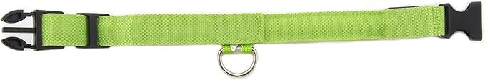 Green Light-Up LED Adjustable Pet Collar (Flashing or Steady Modes) - Rechargeable via USB Cable (Included) by Electronix Express (Large)