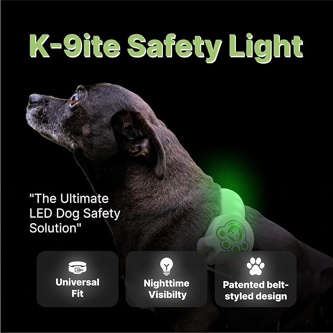 Rechargeable LED Dog Collar, Adjustable Size Light Up Collar with 360° Halo Effect, Ultra-Bright RGB Light, Weather-Resistant Design, Flash Mode, & USB-C Charging for Small, Medium & Large Dogs