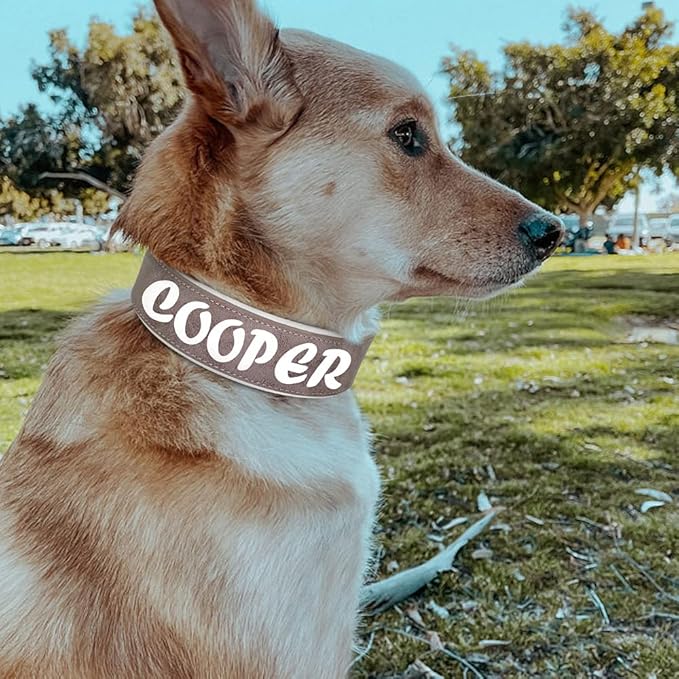 Custom Large Dog Collar Wide Leather Personalized Collars Medium Large Dog Pet Collars Customized for Dogs Printed Name ID Black XL