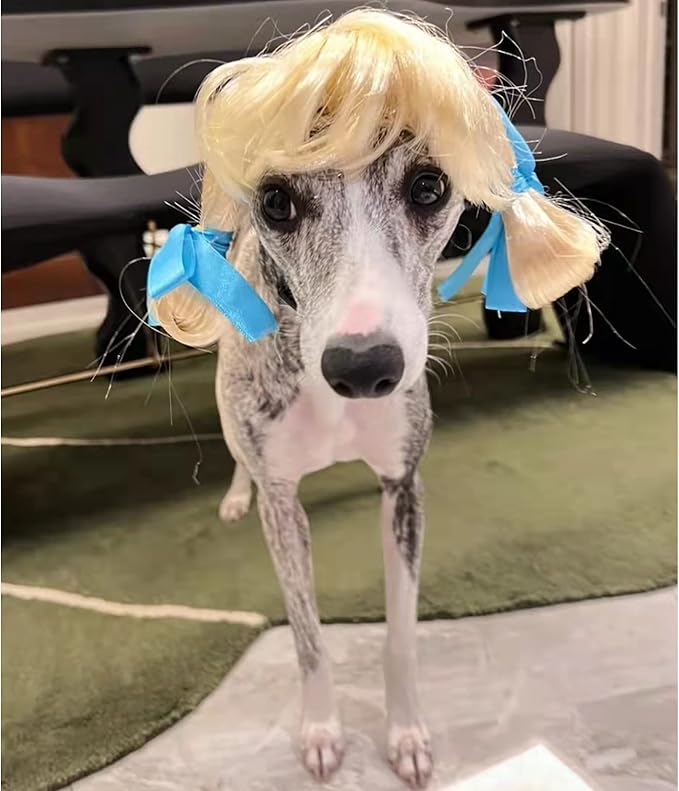 Funny Dog Cat Cosplay Wig, Pet Wigs for Halloween, Christmas, Parties, Festivals, Dog Wigs for Small Medium and Large Dogs(Golden Braid)