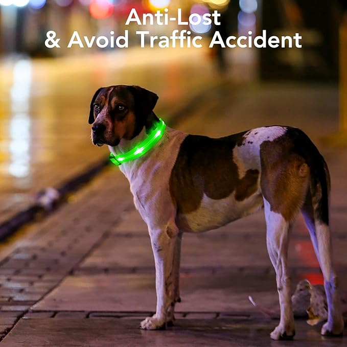 Weesiber Light Up Dog Collars - Rechargeable LED Collar - Reflective Adjustable Dog Lights for Night Walking (Green, Large Collar)