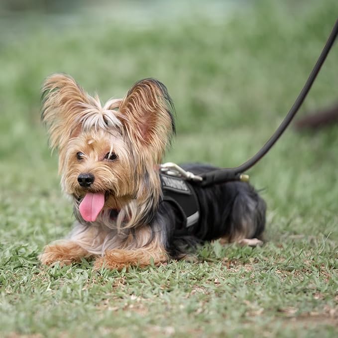 Durable Handwoven Dog Leash for Small & Medium Dogs, 5/16 inch Rope Lead with Anti-Tangle Swivel Clip, Soft & Lightweight, 5FT Long – Ideal for Daily Walking & Training (Black)