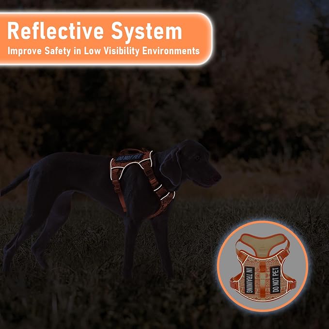 Small Dog No Pull Dog Harness, Pet Harness with Reflective Strip Soft Padded Handle, Adjustable Vest Harness for Walking Hiking Training, Geometric Pattern, Beagle, Orange Ethnic, S