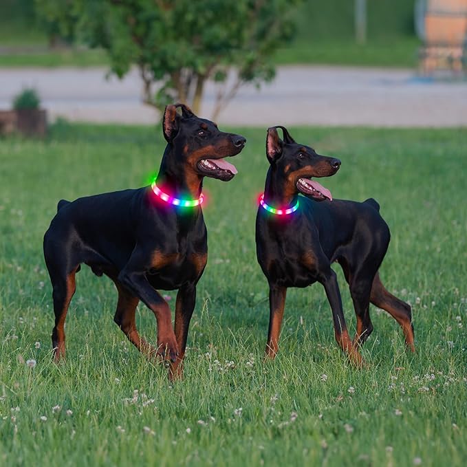 LED Dog Collar with 12 Lighting Modes-Rechargeable Dog Light Glow in The Dark for Night Walking, Adjustable Light Up Dog Collar for Small/Medium/Large Dogs, 1-H Charge & 12H Runtime, Yellow