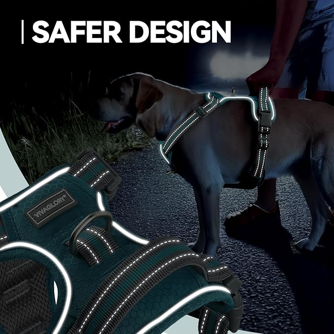 VIVAGLORY Dog Harness Easewalk No Pull Dog Harness with Handle Front Clip & Back Clip for Training Walking Lifting, No Pull Adjustable Easy On Padded Comfortable for Pet, S, Hunter Teal - Patterned