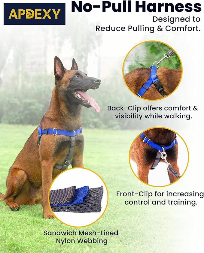 Easy Walk No Pull Dog Harness, Freedom Walk with Front and Back Clips Stainless D-Rings, Comfortable, Sewn-in Instructions Tags for Easy Use, for Medium Dogs Weight 32-40lbs (Blue, M)
