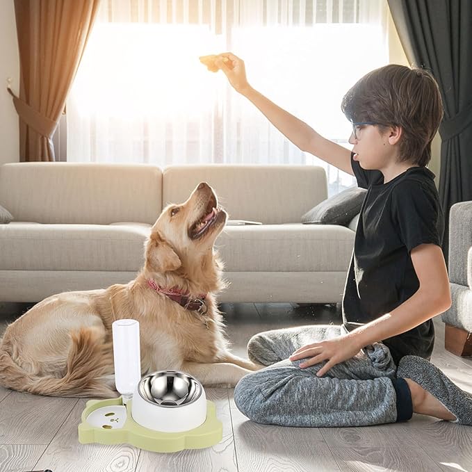 TOYANDONA Multi-Function Pet Feeder Bowl with Stainless Steel Cat Dog Food Holder and Automatic Water Dispenser, Splash-Resistant Green Bowl for Indoor Pets and Kittens