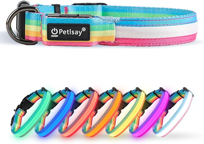 Premium LED Dog Collar for Night Walking - Light up Dog Collar Cycle 7 Solid Colors - Lighted Dog Collars USB C Rechargeable - Waterproof Glow in The Dark Dog Collars - Adjustable, Fashion, Safety(S)