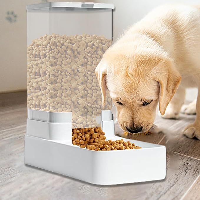 Generic Automatic Dog Cat Water Dispenser - Pet Feeder and Water Dispenser Set | Dog Cat Water Dispenser Feeder for Waterer Food Large Capacity, Food Feeder and Waterer Set with Pet Food Bowl, WHITE