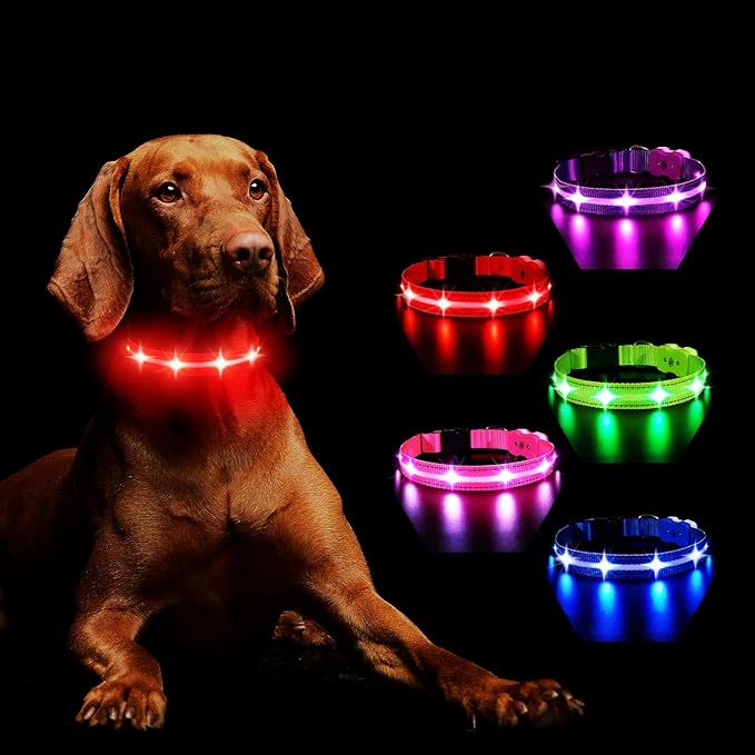 MASBRILL Light Up Dog Collars-RGB Led Collar for Dogs Rechargeable Lighted Dog Collar Water-Resistant Colorful Glow in The Dark Dog Collars for Night Walking