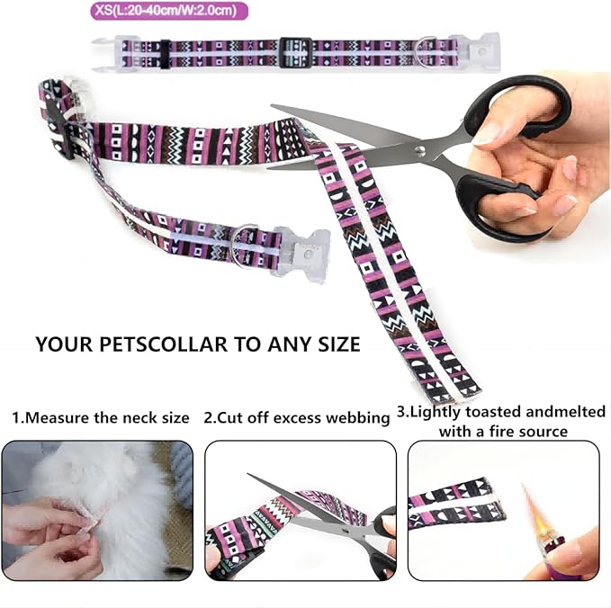 Light Up Dog Collars,LED Dog Collar Rechargeable Waterproof,2-in-1 Buckle Type Glow Collar for Medium Large Dogs- M(10-17 * 0.98 inch can be Crop