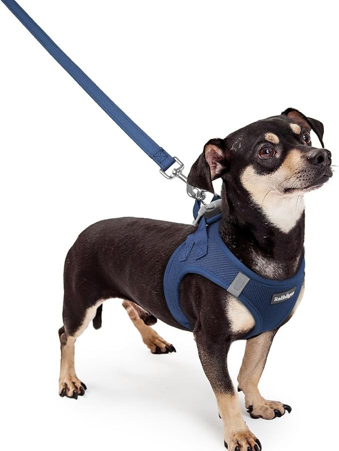 rabbitgoo Dog Harness Small Sized and Leash Set, Step in Soft Light Puppy Vest, Breathable Mesh Pet Harness, Reflective for Outdoor Safe Walking, Navy Blue XXXS