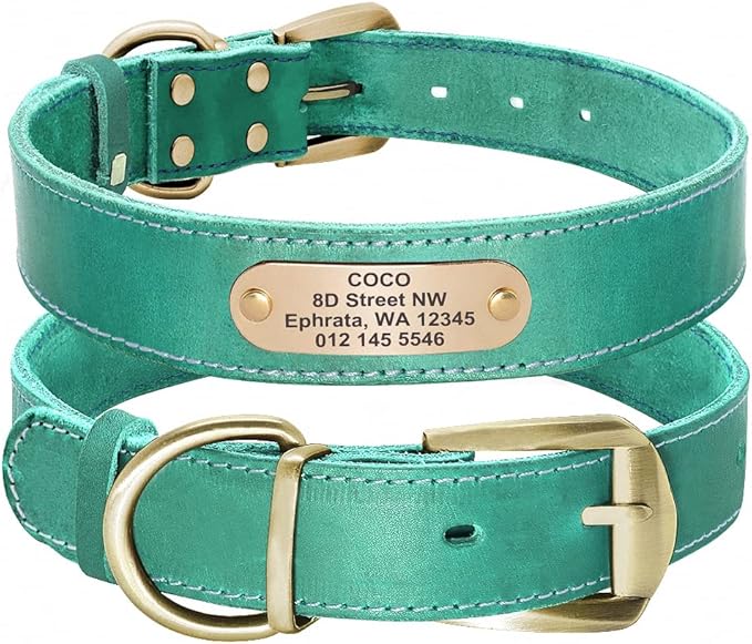 Custom Leather Dog Collar for Small Medium Large Dogs Pitbull Personalized Fashion Genuine Leather ID Collar with Name Plate Green XL
